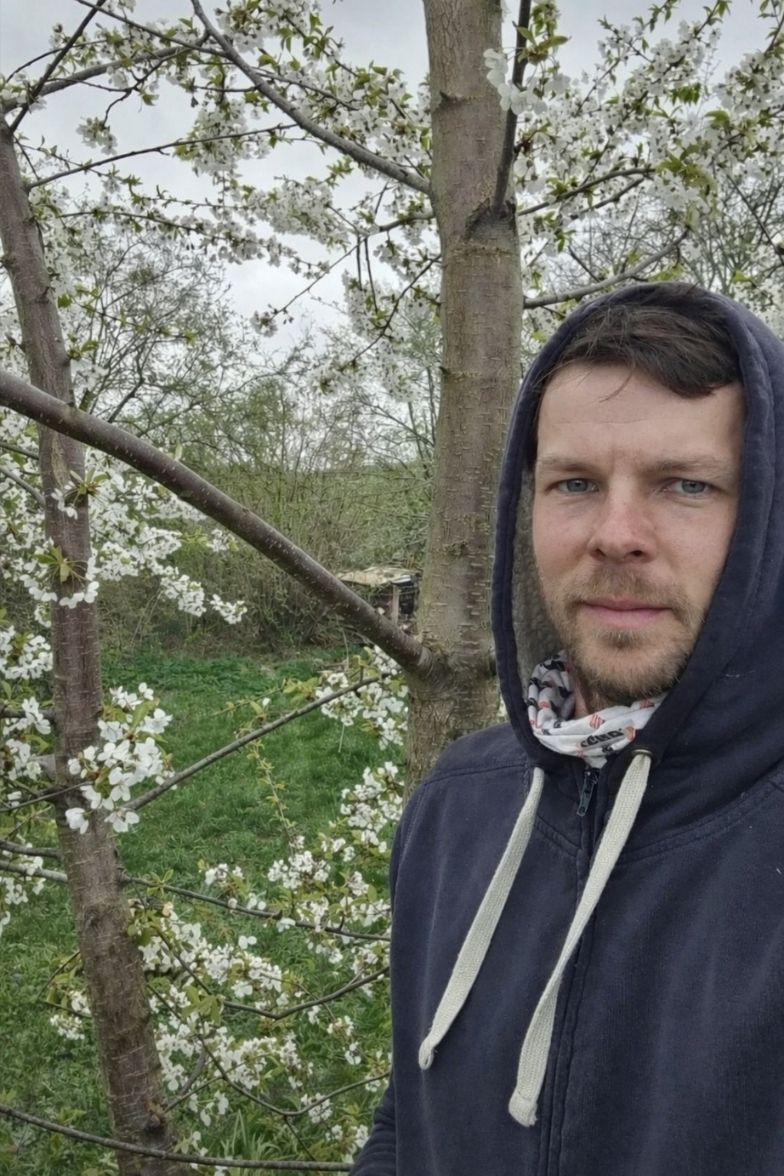 ovocne-stromy-nahled