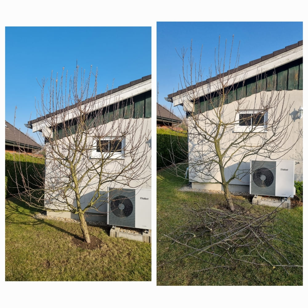 strih-ovocnych-stromu-jablon-kolaz