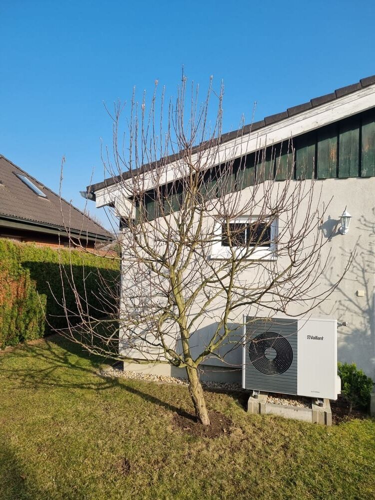 strih-ovocnych-stromu-jablon-pred-strihem